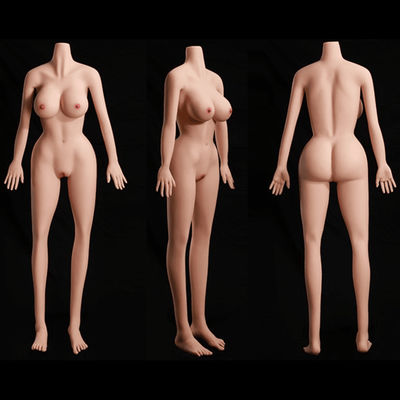 Uprawiana głowa lalki seksualnej TPE/Silicone Kobieta z dużym tyłkiem Duże cycki-MARCY